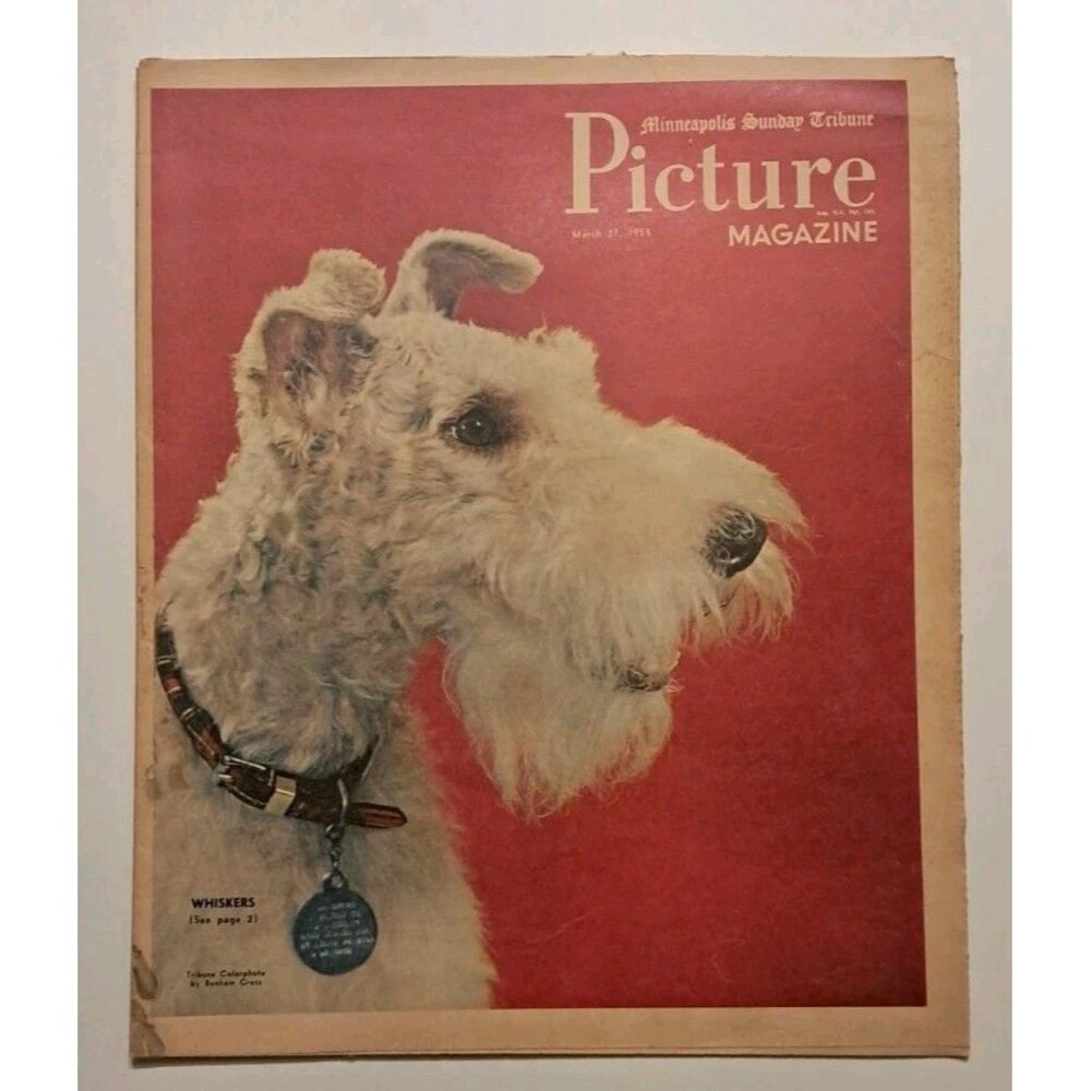 Picture Magazine Minneapolis Sunday Tribune 3/27/1955 Mabel Normand
